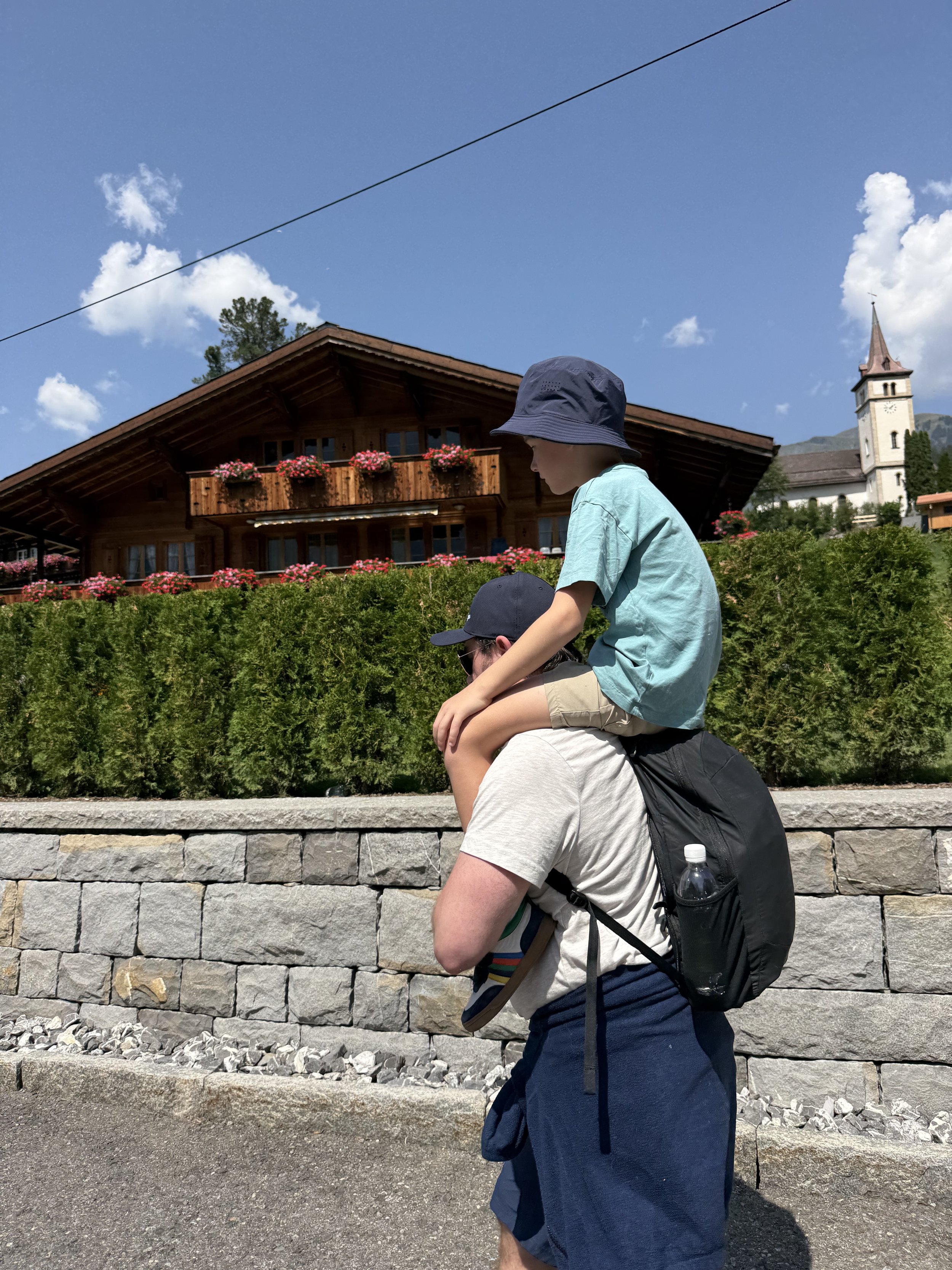 Wengen & Jungfrau Region Breakdown