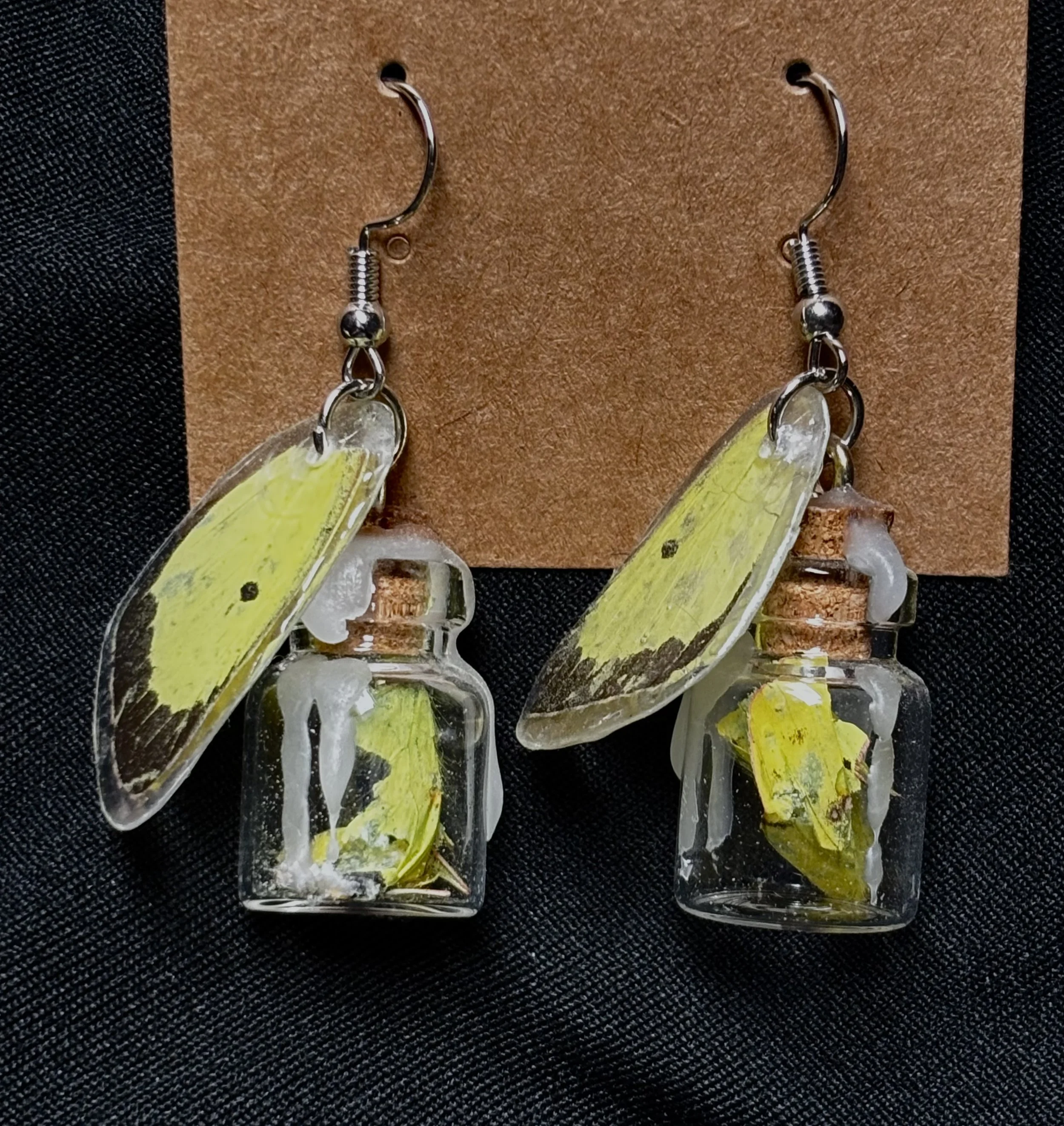 Sulphur butterfly oddity earrings