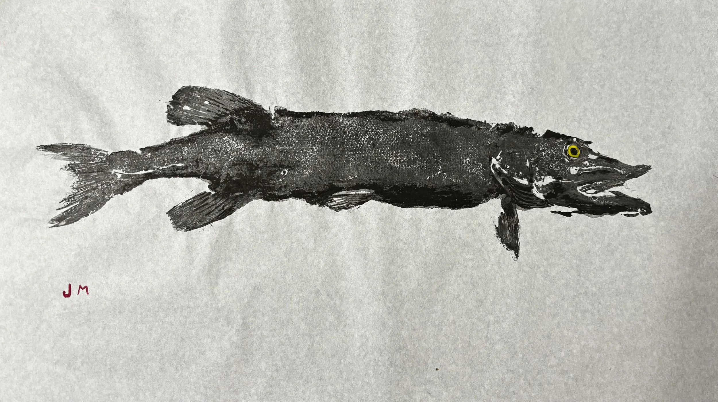 Chain Pickerel Gyotaku (Not framed)