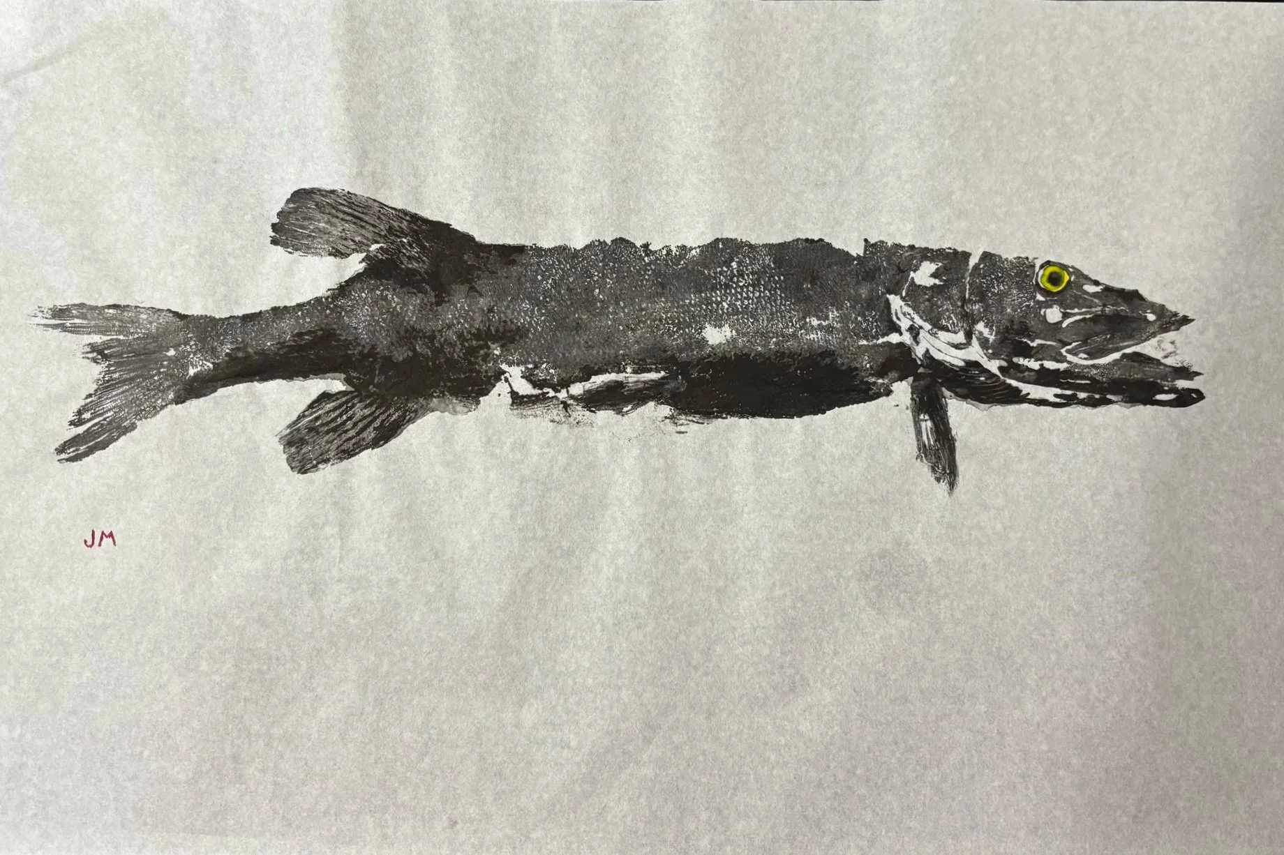 Chain Pickerel Gyotaku (Not framed)