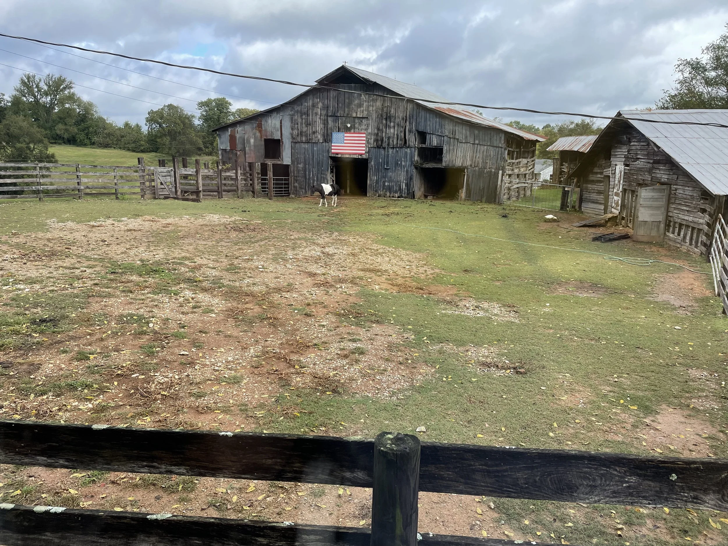 An old weathered wooden barn with a metal roof, an American flag on its front, situated on a grassy field with a horse nearby.