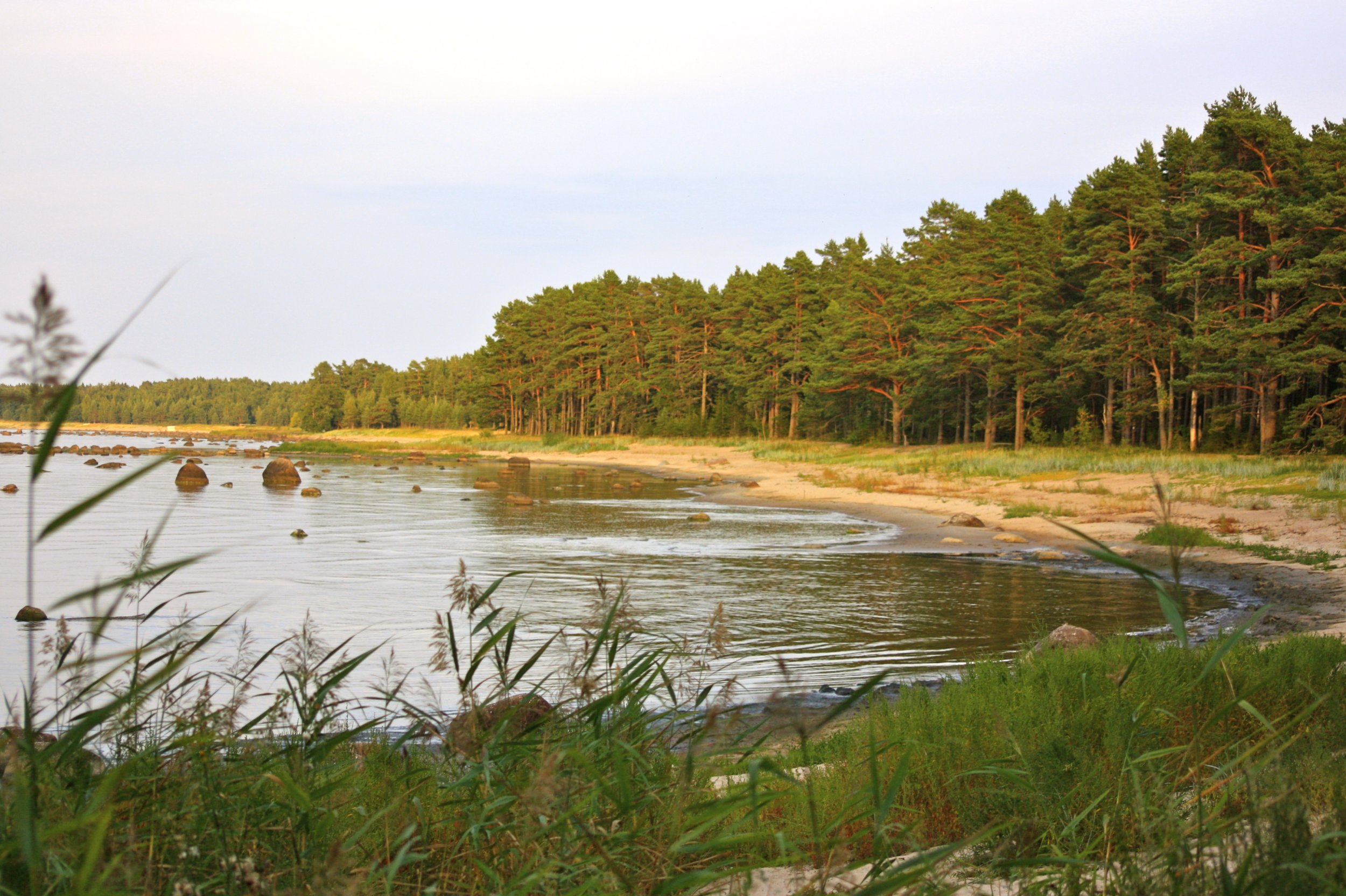 Viron hiljaiset hiekkarannat.