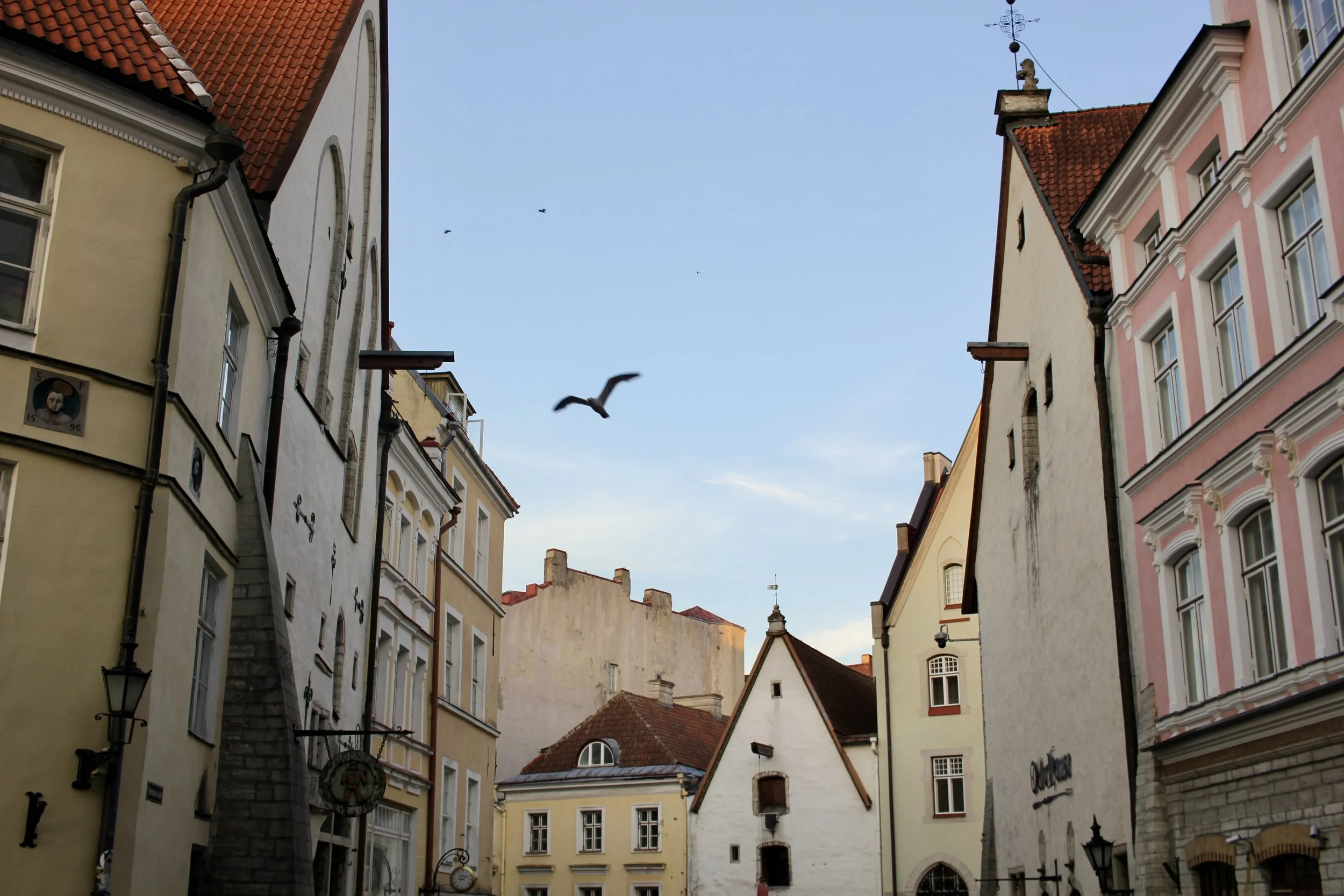 Tallinnan vanhakaupunki ja upea arkkitehtuuri.