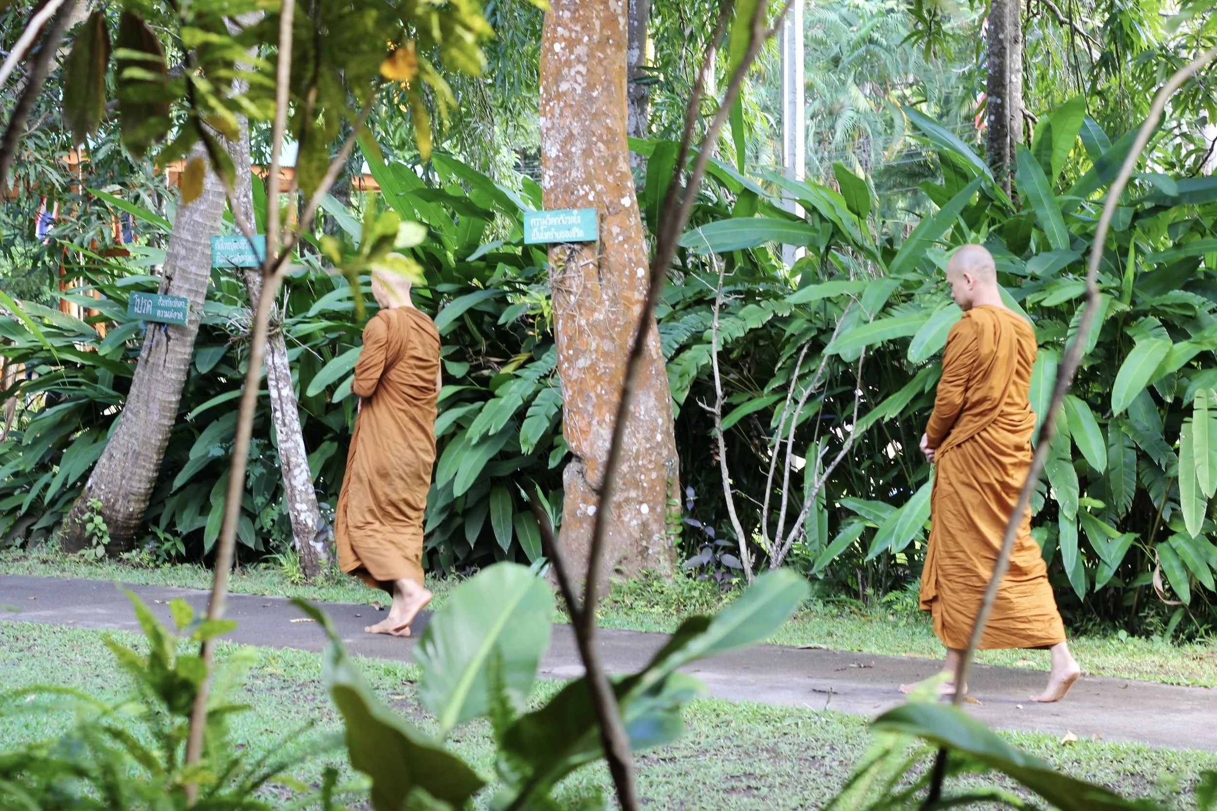 Munkit Thaimaassa luostarin pihalla.