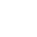 PINTAURO PORTFOLIO