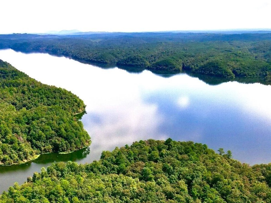 Aerial view of a large river surrounded by dense green forests.