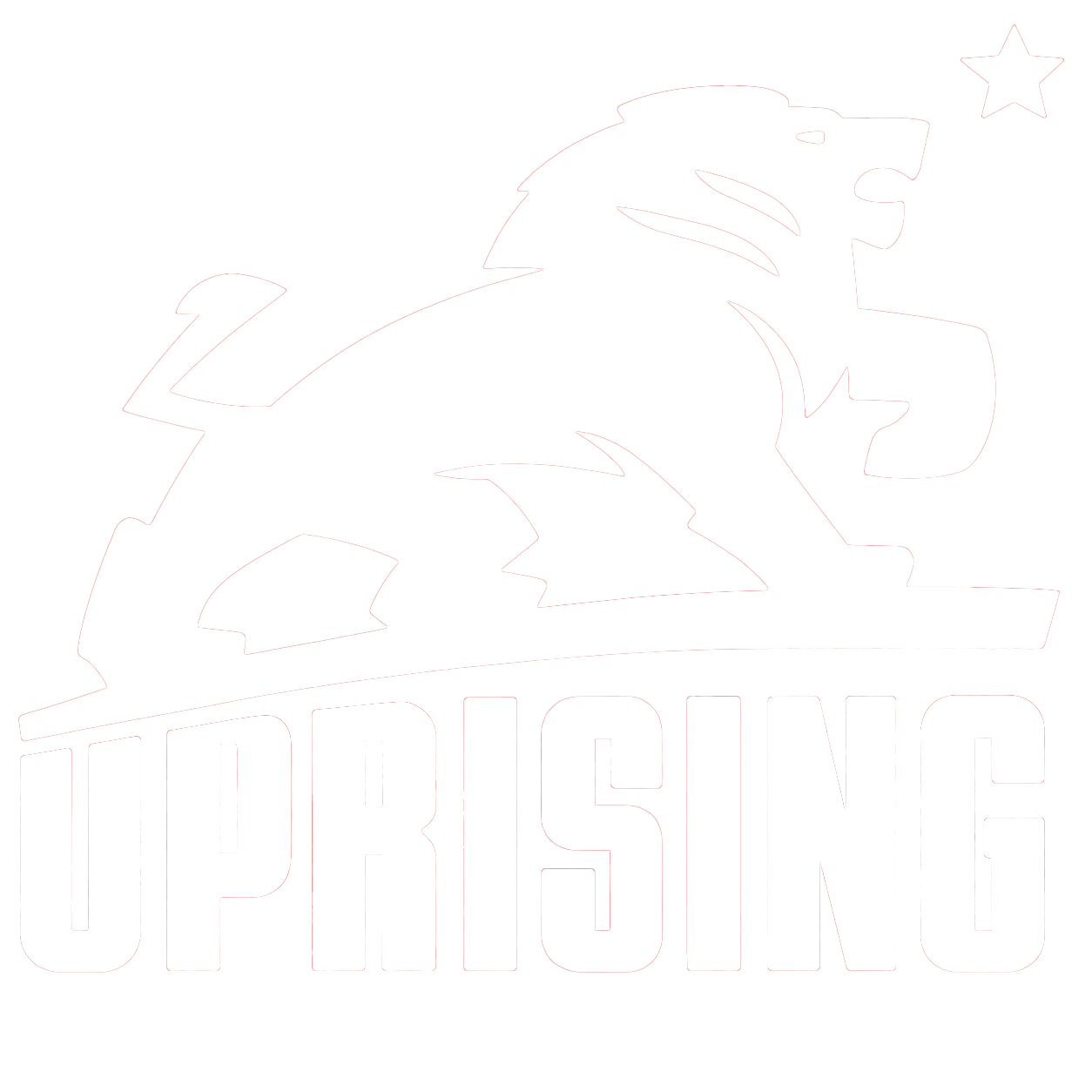 Upraising Promotion