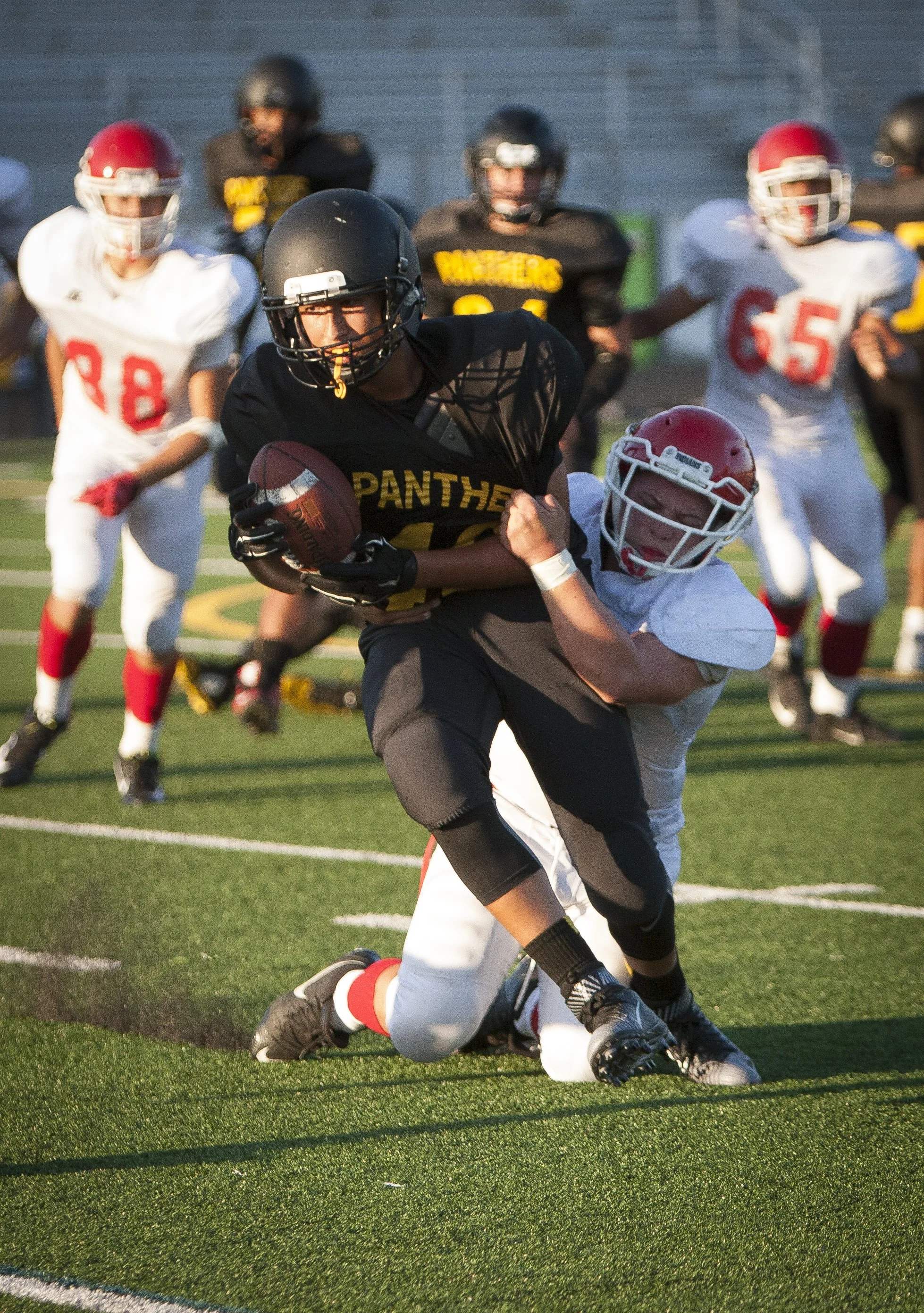 I've literally shot thousands of hours of professional and amateur sports as a newspaper and freelance magazine photographer.