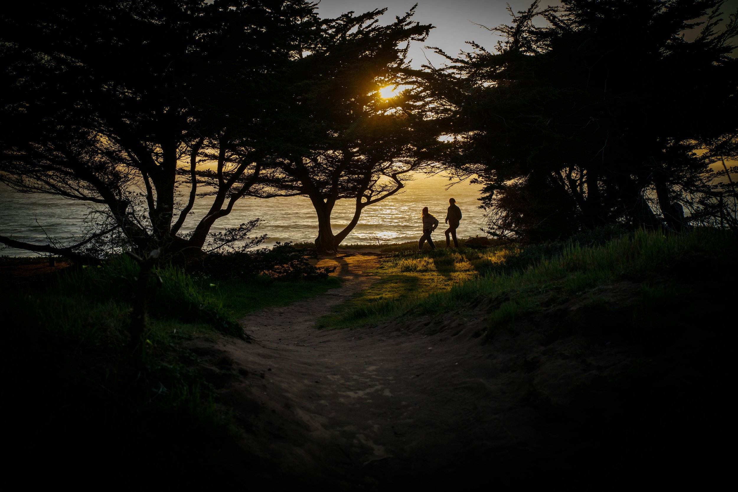 Silhouetted trees and two people walking along a path on a beach at sunset, with the sun partially visible through the trees and the ocean in the background.