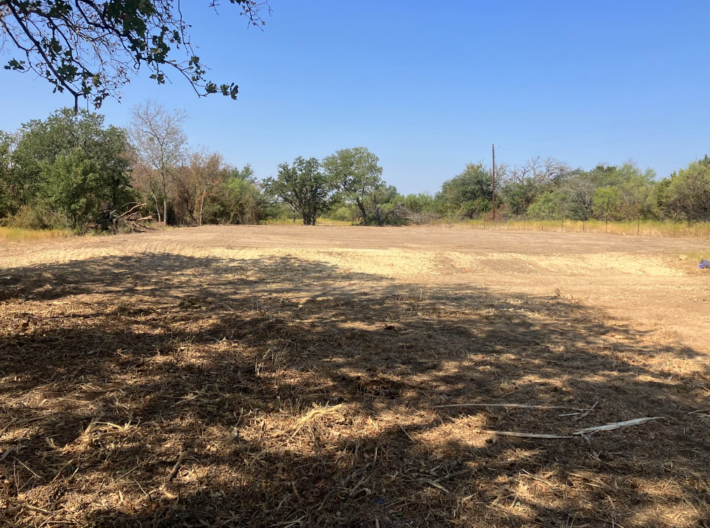 Open field with shadows cast by trees, surrounded by green trees and a clear blue sky.