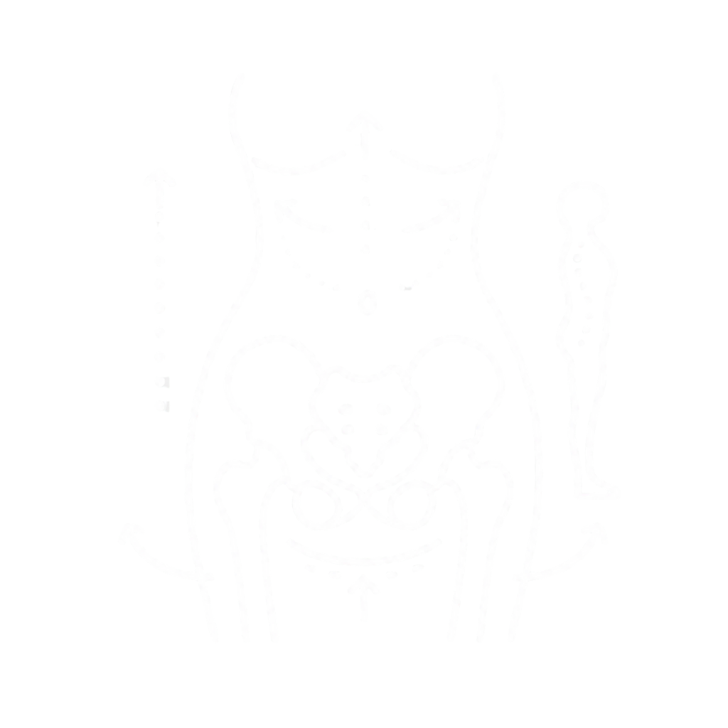 Diagram of a human pelvis with arrows indicating directions for massage therapy or physical manipulations.