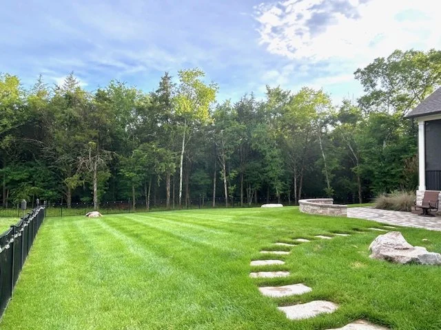 Backyard1.jpg