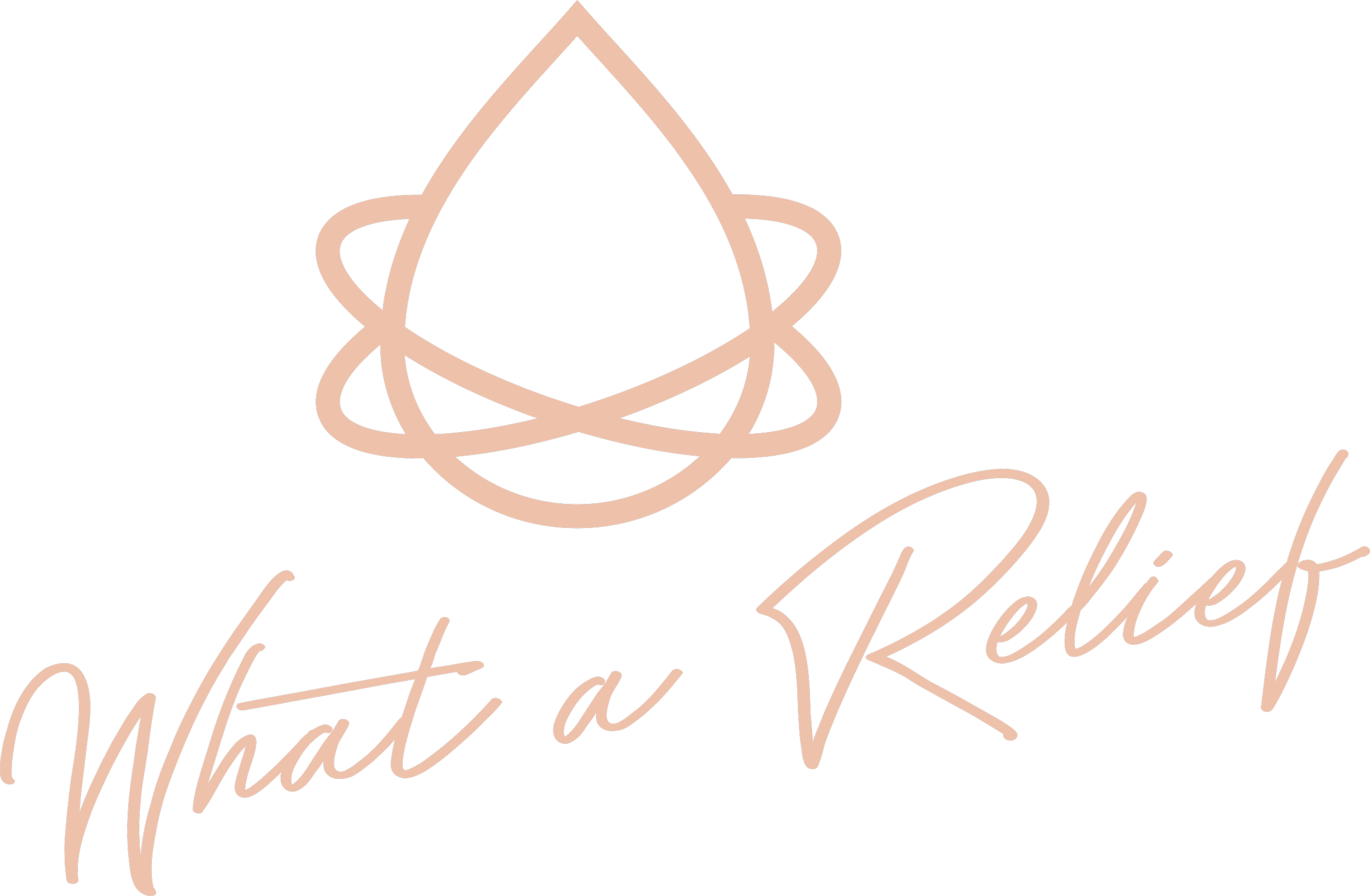 Elegant logo with a black background features a rose gold illustration of a cat's face with minimal lines, combined with cursive text that reads 'What a Relief' in rose gold.
