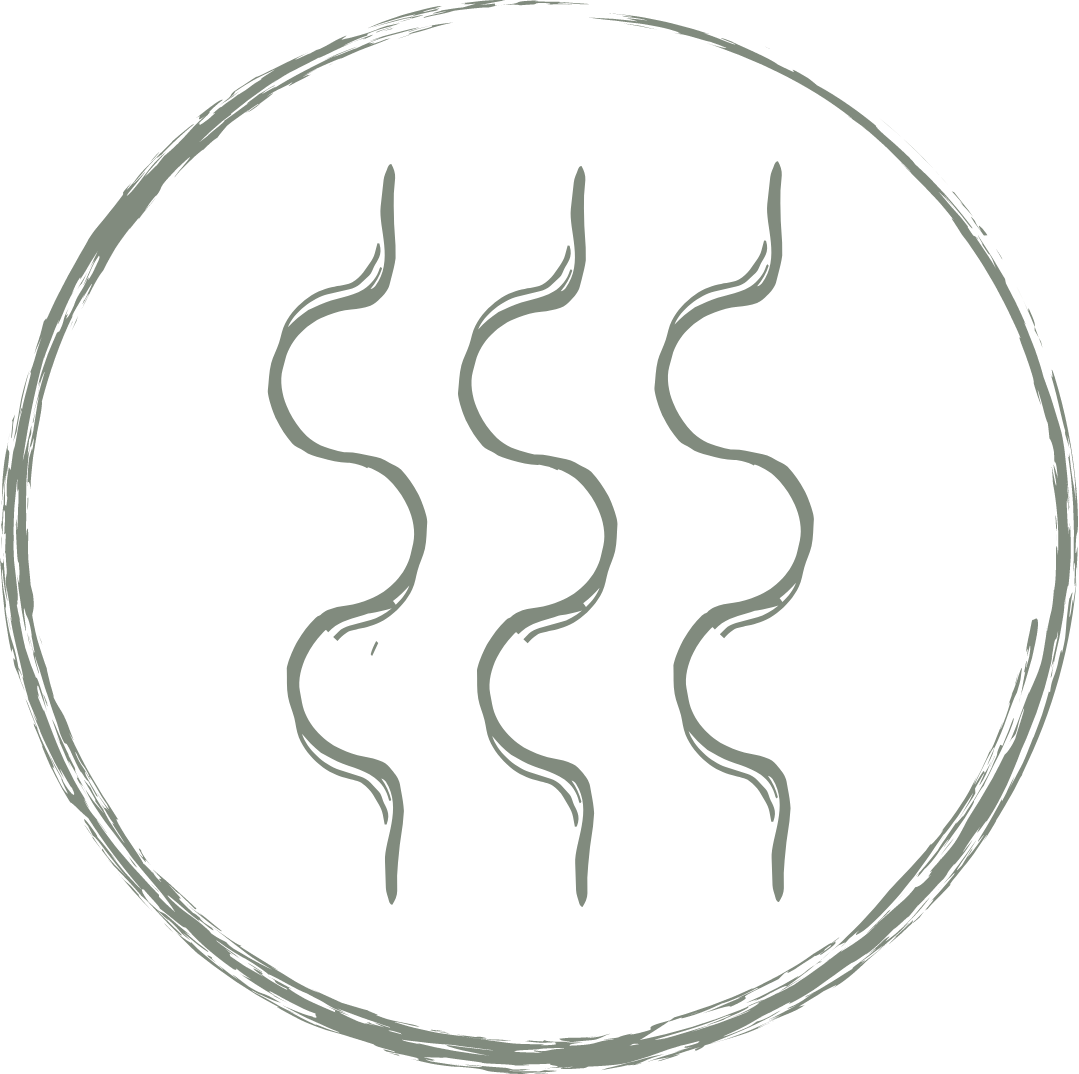 A round black icon with three vertical wavy lines in the center, representing steam.