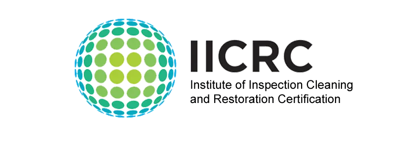 Logos for ICRC, the International Committee of the Red Cross, featuring a green and blue globe design with black text.
