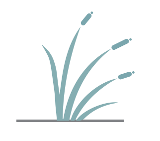 Illustration of three sprouting grass blades or plants emerging from the ground.