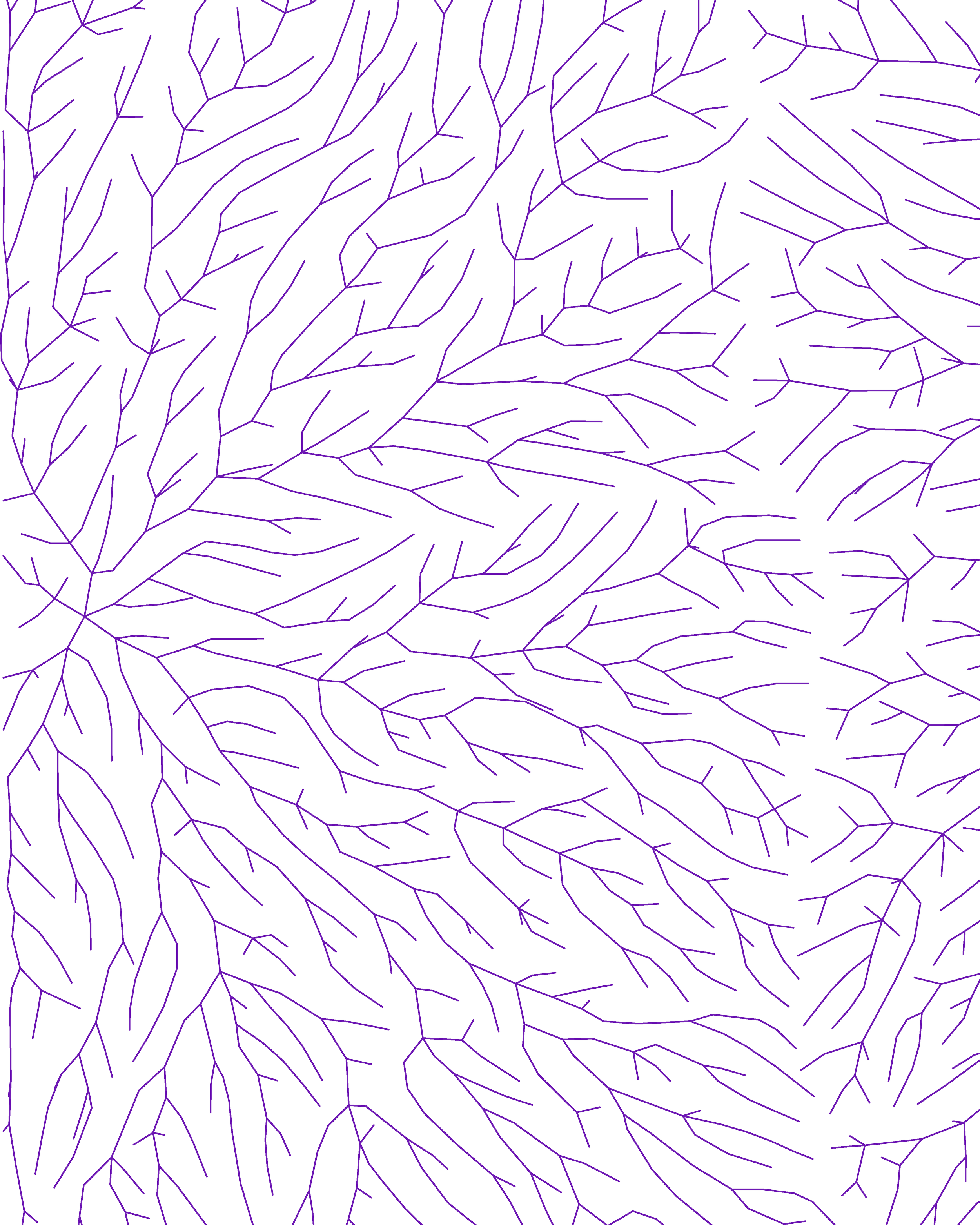 A digital illustration of purple neon tree branches on a black background.