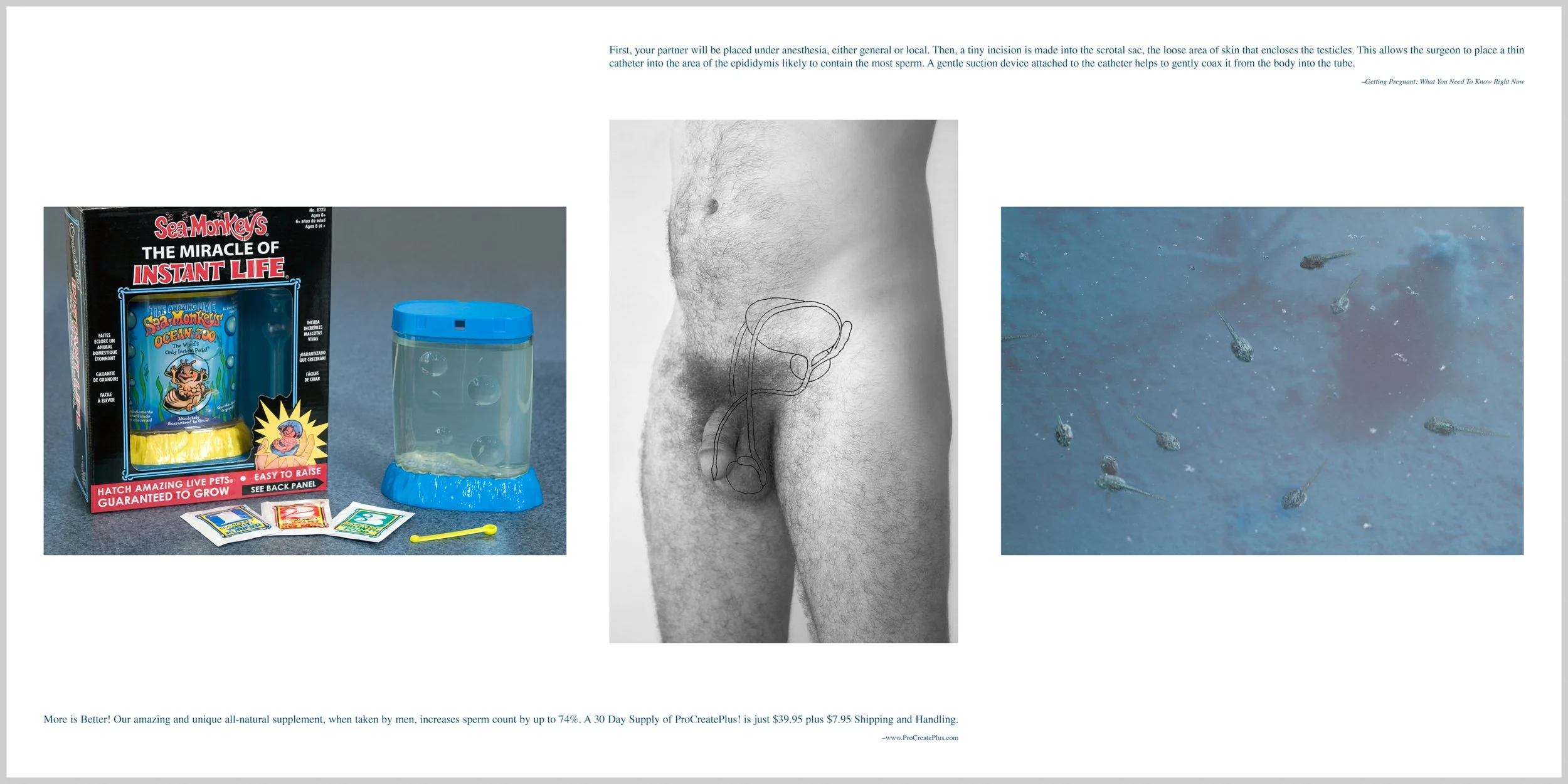 Swimmers