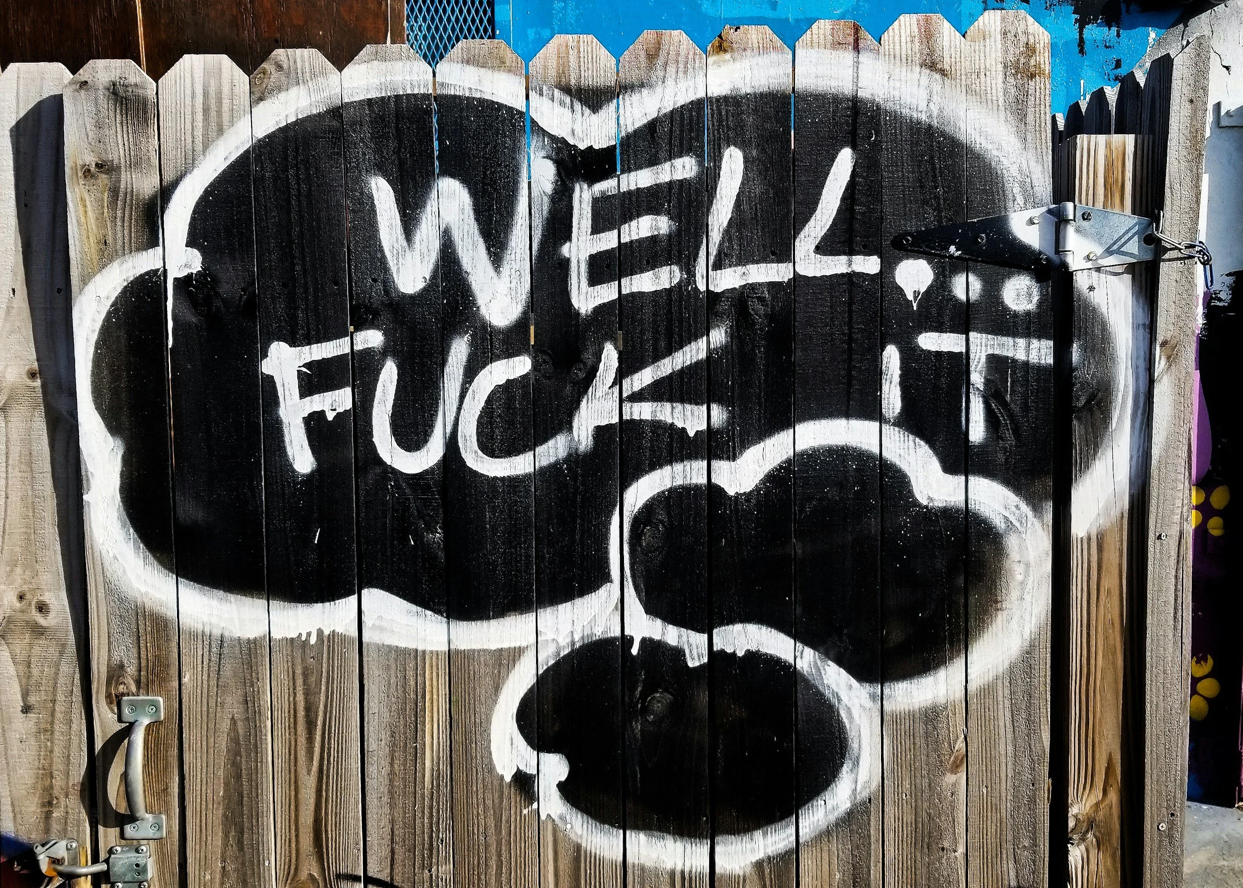 Graffiti art on a wooden fence with the text 'WELL...Fuck it?' in white spray paint on a black background.