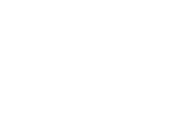 CAKE.LOGO.600x450.white.png