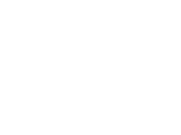 PST.LOGO.600x450.white.png