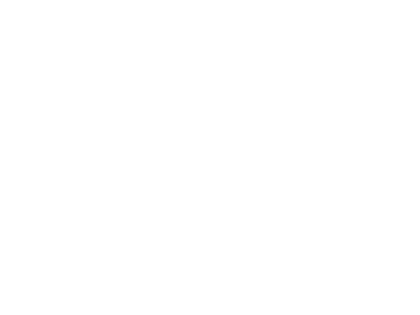 DeluxeDesign.LOGO.600x450.white.png