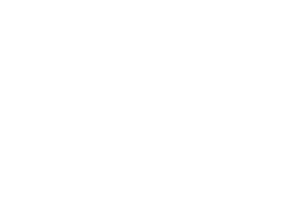 BonnieRaitt.LOGO.600x450.white.png