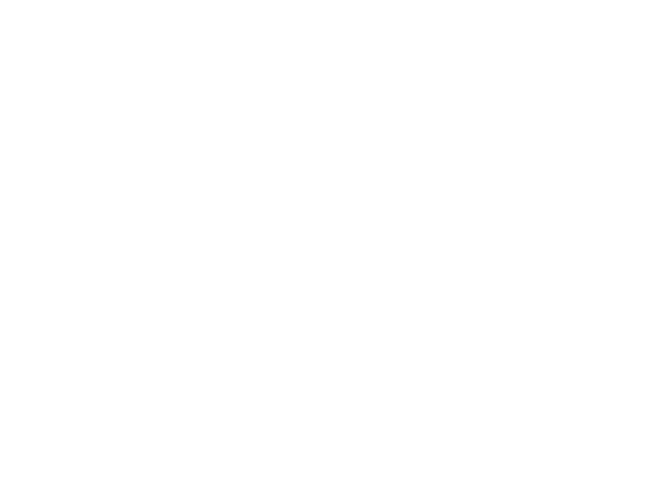 BrandiCarlisle.LOGO.600x450.white.png