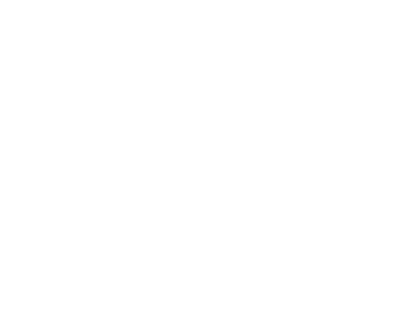 SuperBowlLIII.LOGO.600x450.white.png