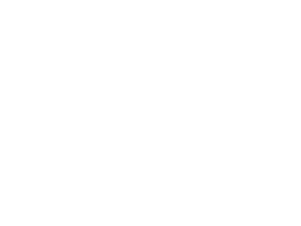 NBAAllStar.LOGO.600x450.white.png