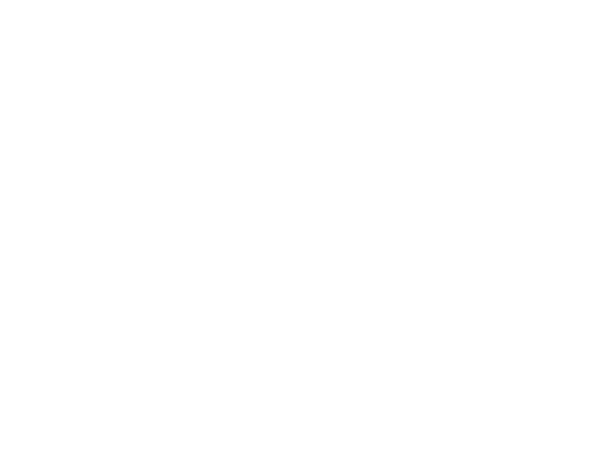 RocketClassic.LOGO.600x450.white.png