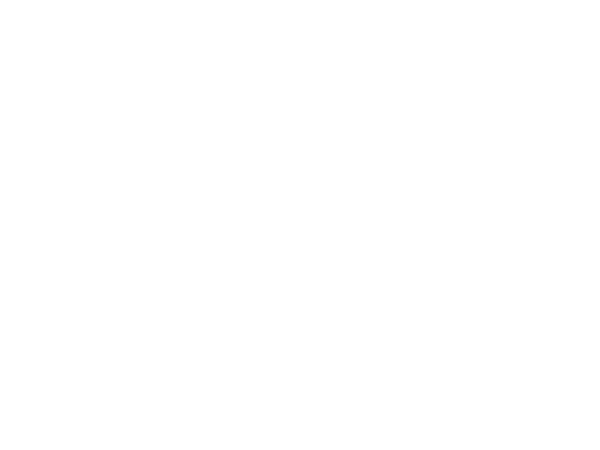 Toyota.LOGO.600x450.white.png