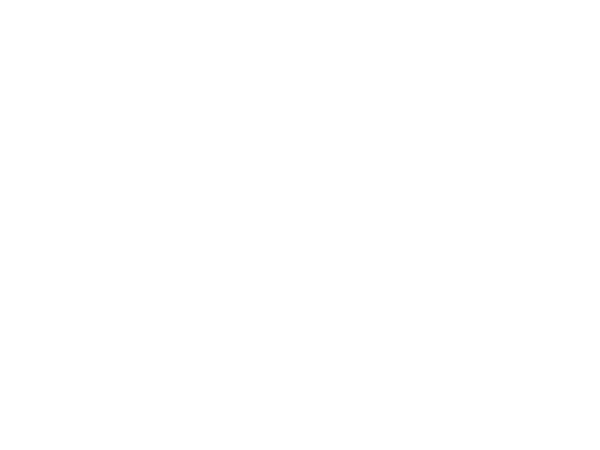 Phygital.LOGO.600x450.white.png