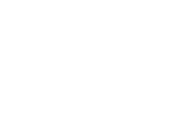 ManchesterOrchestra.LOGO.600x450.white.png