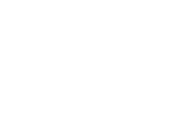 SoldierField.LOGO.600x450.white.png