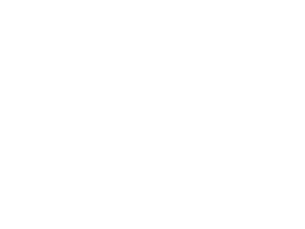 1stBankCenter.LOGO.600x450.white.png