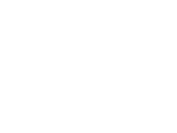 Stormzy.LOGO.600x450.white.png