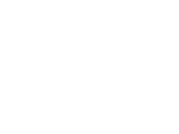 CharliXCX.LOGO.600x450.white.png