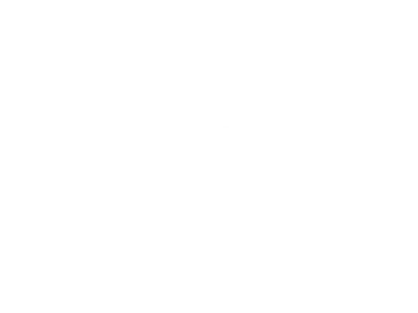 BobMoses.LOGO.600x450.white.png