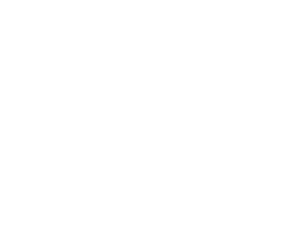 Santigold.LOGO.600x450.white.png