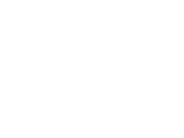 FluxPavilion.LOGO.600x450.white.png