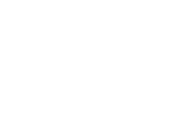 TheSternwheeler.LOGO.600x450.white.png