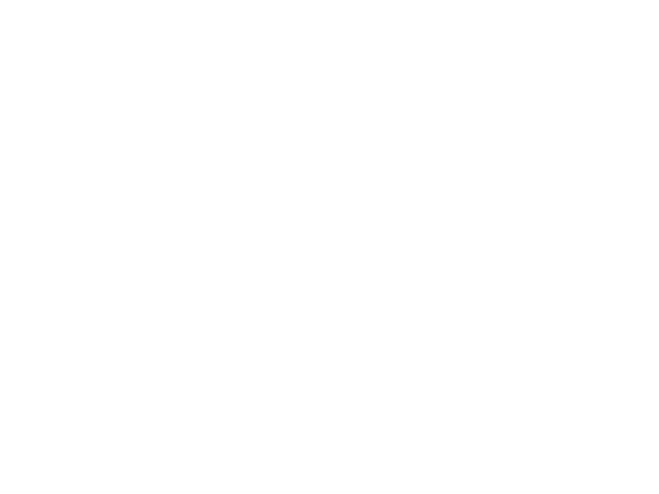 StAnns.LOGO.600x450.white.png