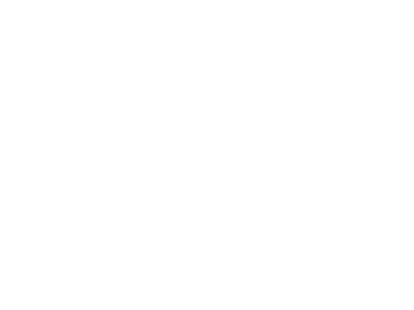 LindsayEll.LOGO.600x450.white.png