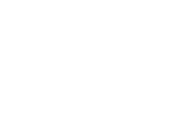 NashvilleBoot.LOGO.600x450.white.png