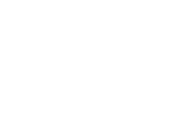 Nike.LOGO.600x450.white.png