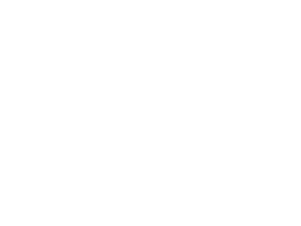 MeowWolf.LOGO.600x450.white.png