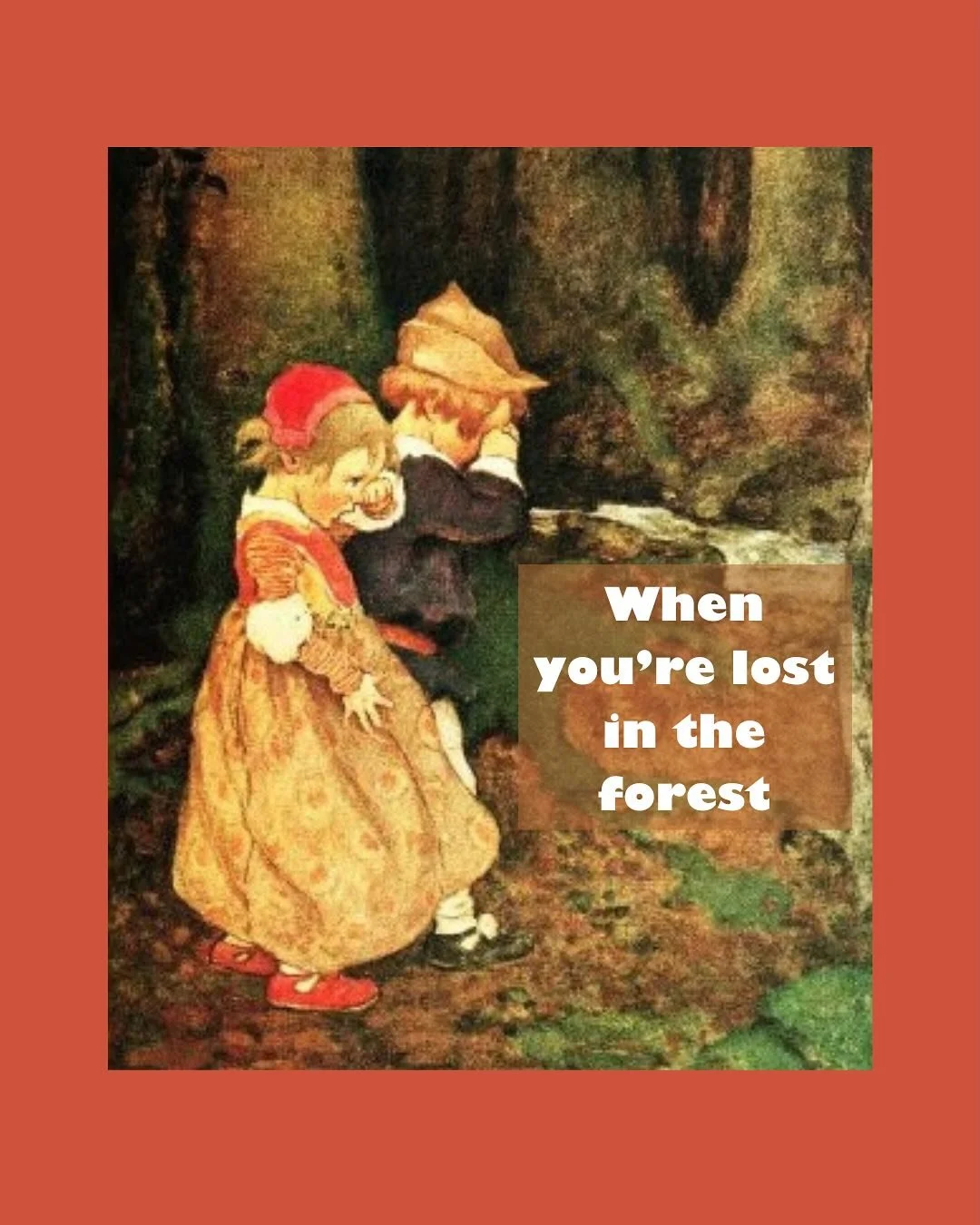 When you are lost in the forest 