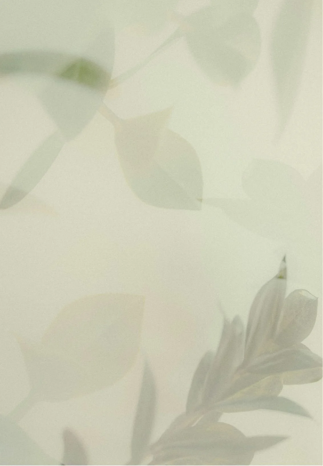 Faint shadows of leaves and flowers on a light surface.