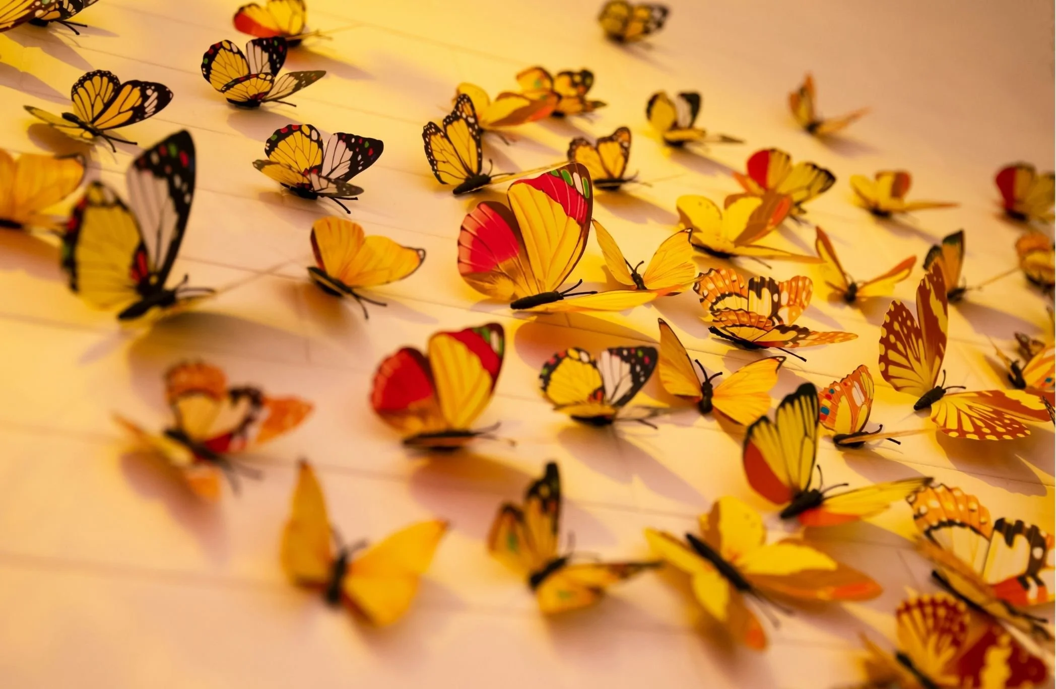 Cultivating Gratitude in Times of Loss